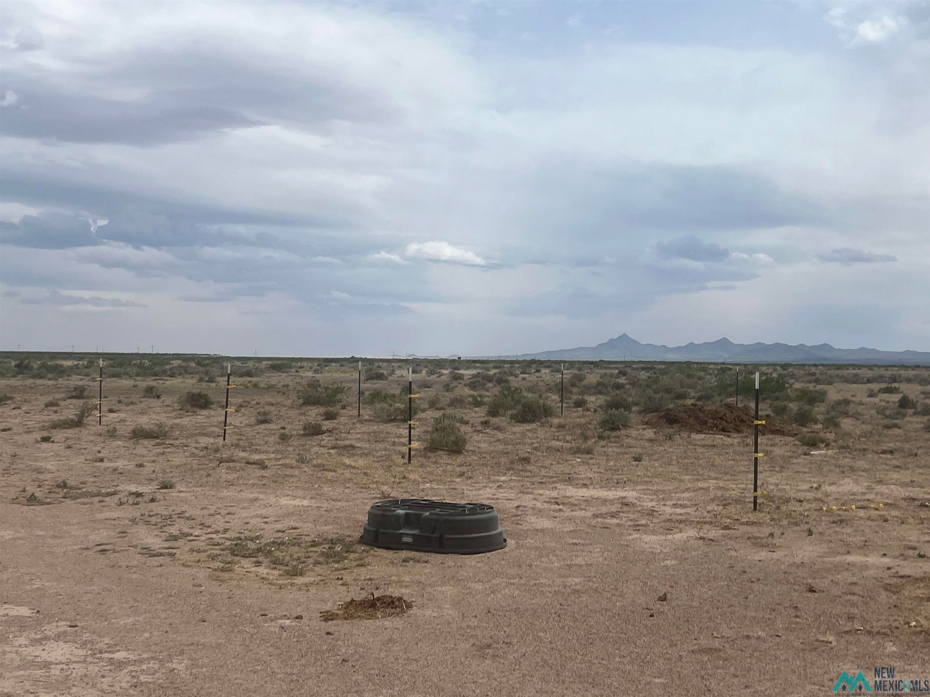 14006 Ciguena Road Southwest Deming, NM 88030 - Photo 32 of 49 View of yard with a view of rural / pastoral area