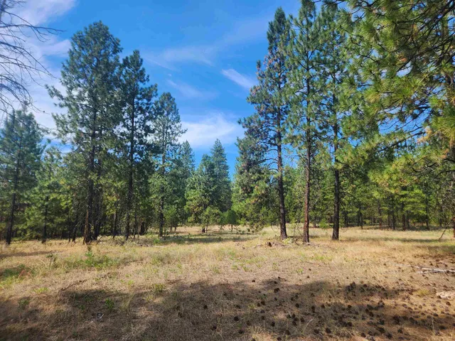 $220,000 | 1866 K Northport Flat Creek Road, Kettle Falls, WA 99141