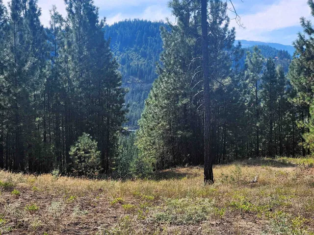 $220,000 | 1866 K Northport Flat Creek Road, Kettle Falls, WA 99141