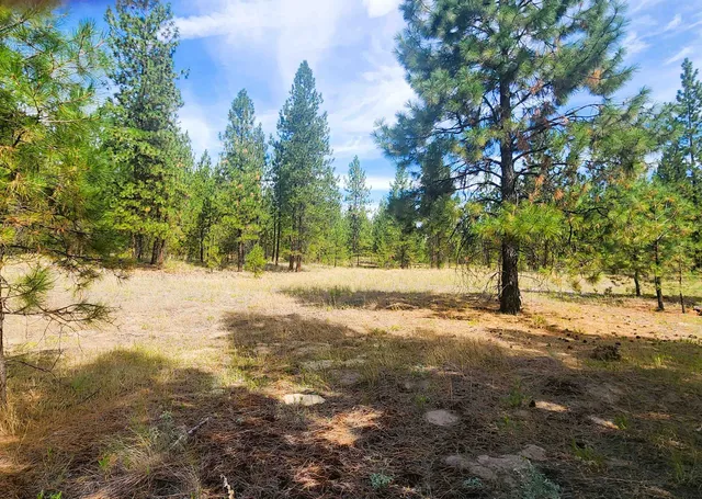 $220,000 | 1866 K Northport Flat Creek Road, Kettle Falls, WA 99141