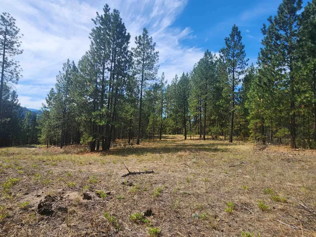 $220,000 | 1866 K Northport Flat Creek Road, Kettle Falls, WA 99141