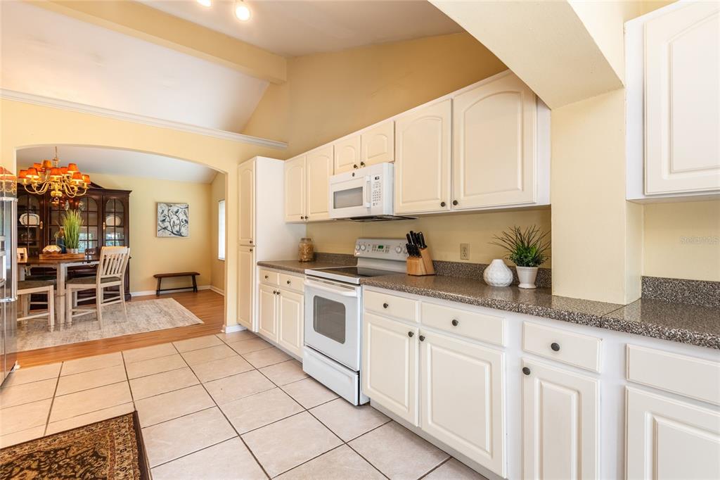 3605 Schefflera Road Tampa, FL 33618 - Photo 15 of 49