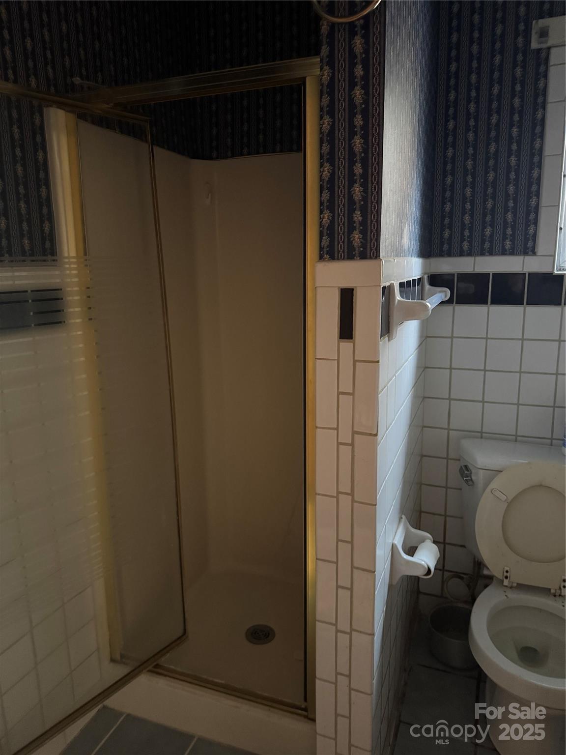 201 Tinsley Road Brevard, NC 28712 - Photo 22 of 23 a bathroom with a toilet and a shower