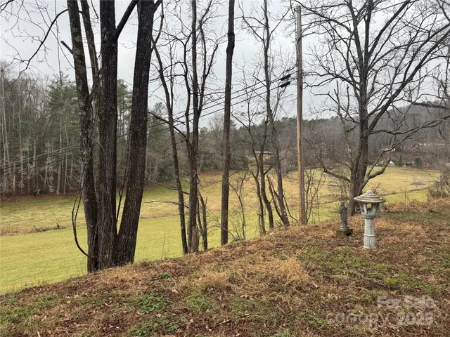 a view of outdoor space with trees