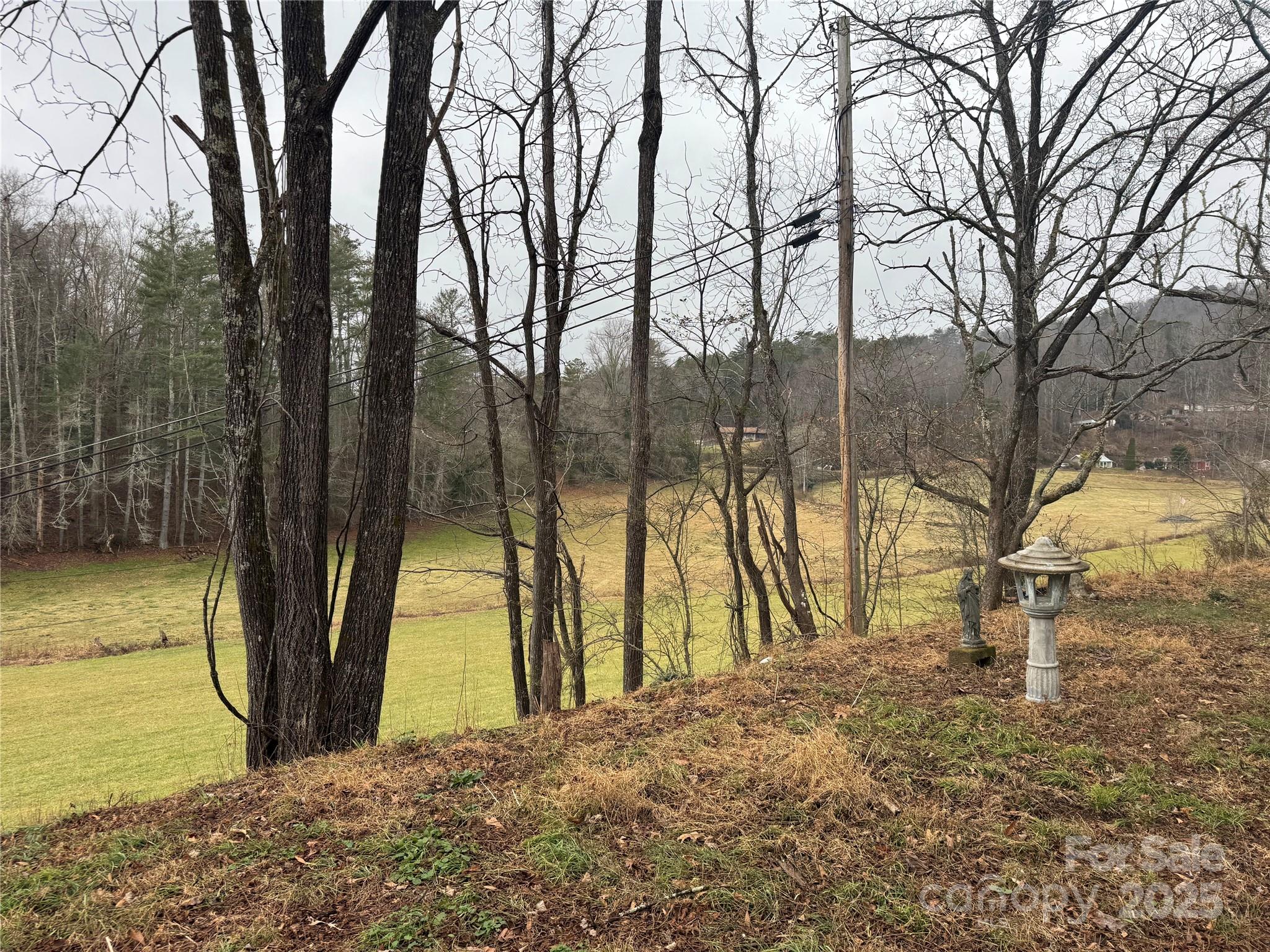 201 Tinsley Road Brevard, NC 28712 - Photo 8 of 23 a view of outdoor space with trees
