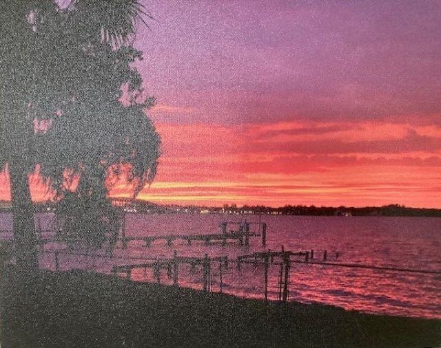 115 Sunset Point Road East Palatka, FL 32131 - Photo 3 of 67 Yard at dusk featuring a water view