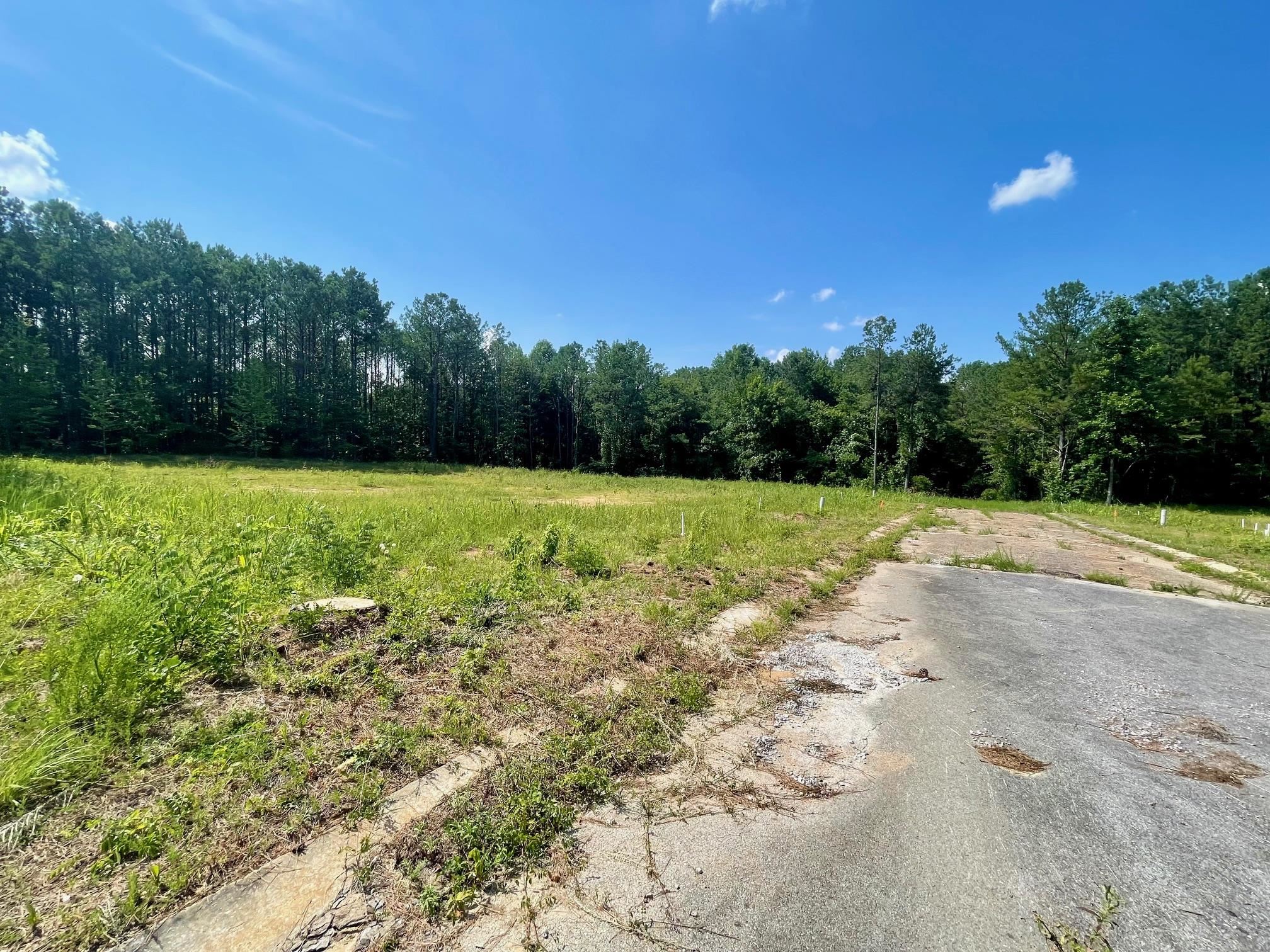 Lot 7 Graham Ridge Road Iuka, MS 38852 - Photo 4 of 5 View of street