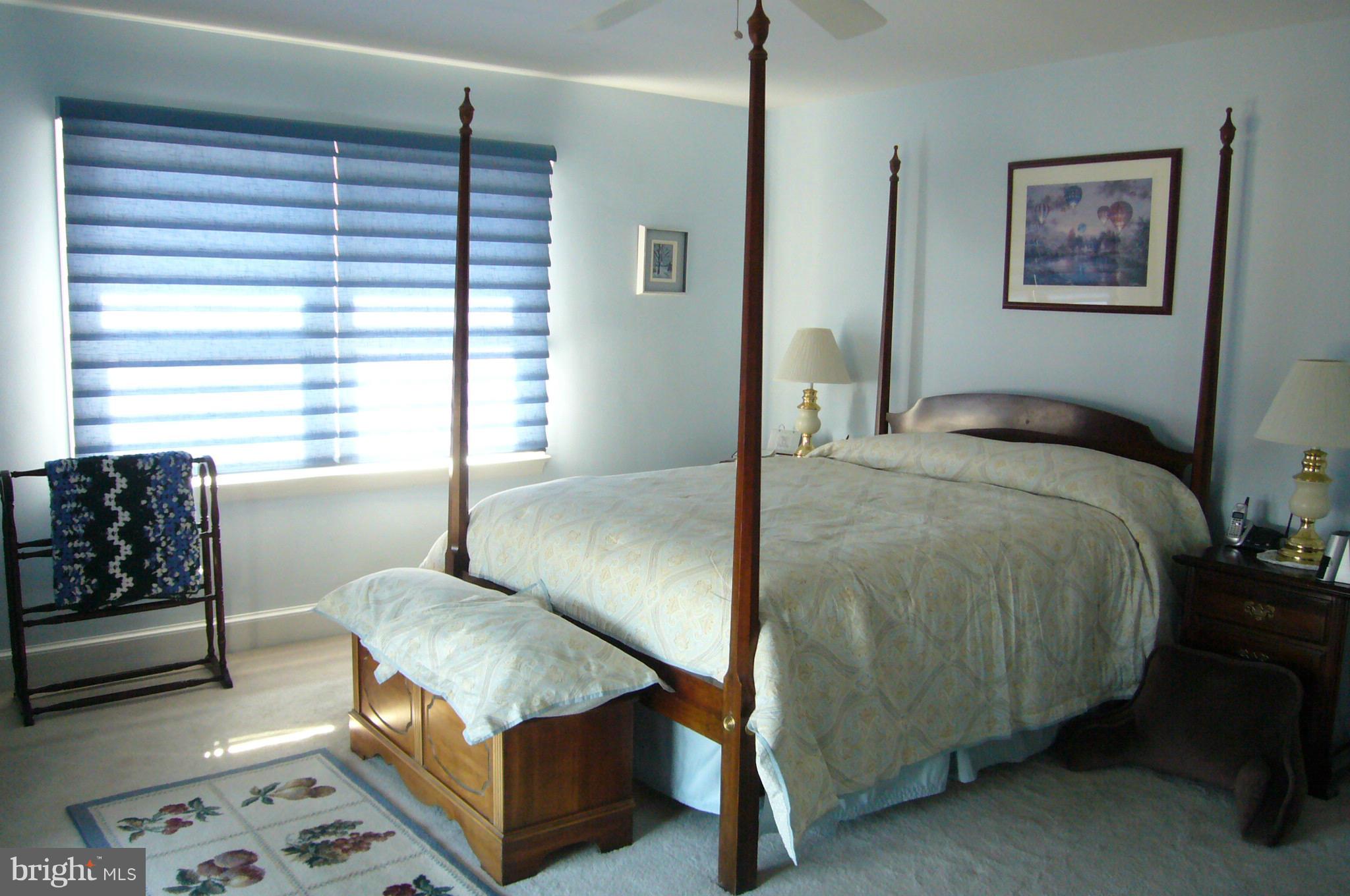 24001 Old Hundred Road Dickerson, MD 20842 - Photo 14 of 30 Master bedroom w/full bath