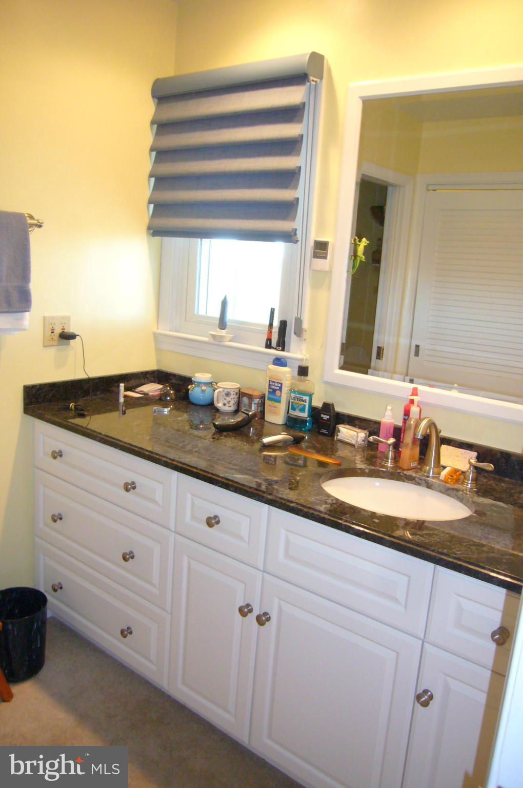24001 Old Hundred Road Dickerson, MD 20842 - Photo 16 of 30 recently updated master bath