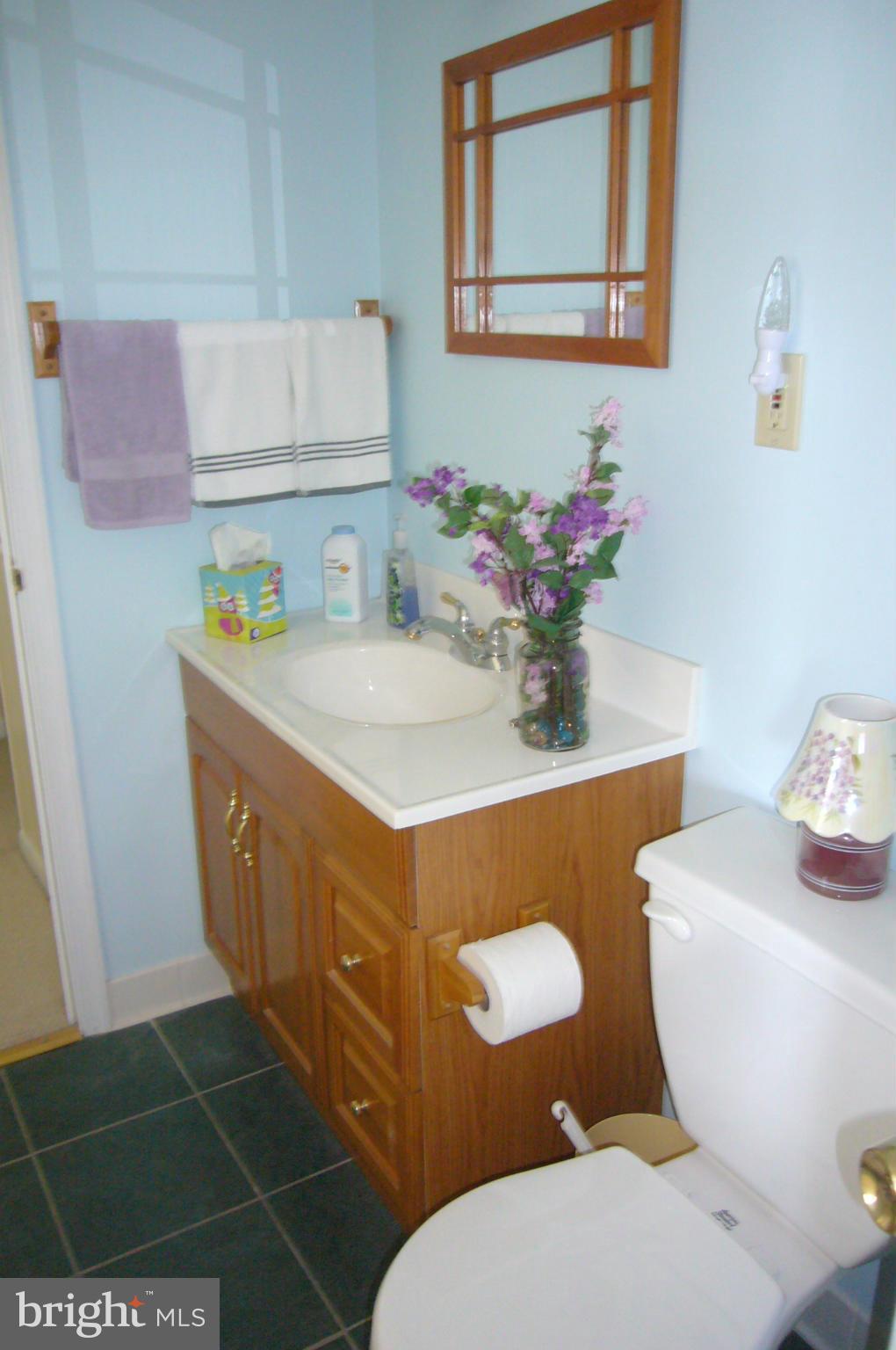 24001 Old Hundred Road Dickerson, MD 20842 - Photo 19 of 30 Full bath on the lower level