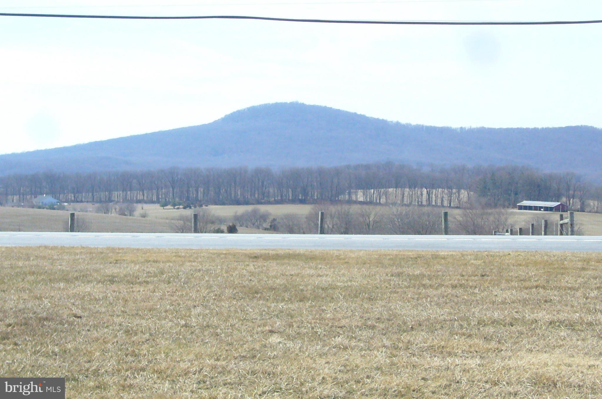 24001 Old Hundred Road Dickerson, MD 20842 - Photo 26 of 30 View of Sugarloaf mountains from the front.