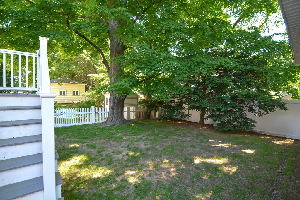 228 Cherry Street Newton, MA 02465 - Photo 42 of 42 a view of a yard with plants and large trees