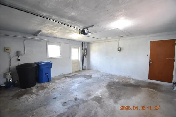 a view of a yard with plants and trees