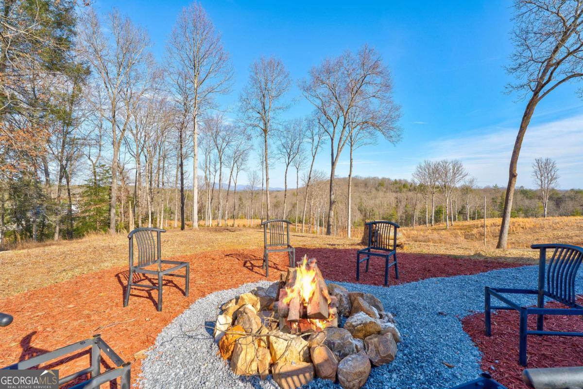 187 Briar Wds Lane, Unit C6 Blue Ridge, GA 30513 - Photo 54 of 63