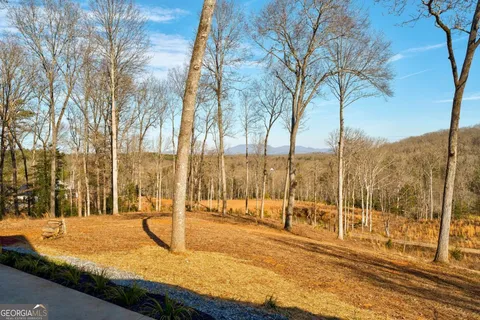 $750,000 | 187 Briar Wds Lane, Unit C6, Blue Ridge, GA 30513