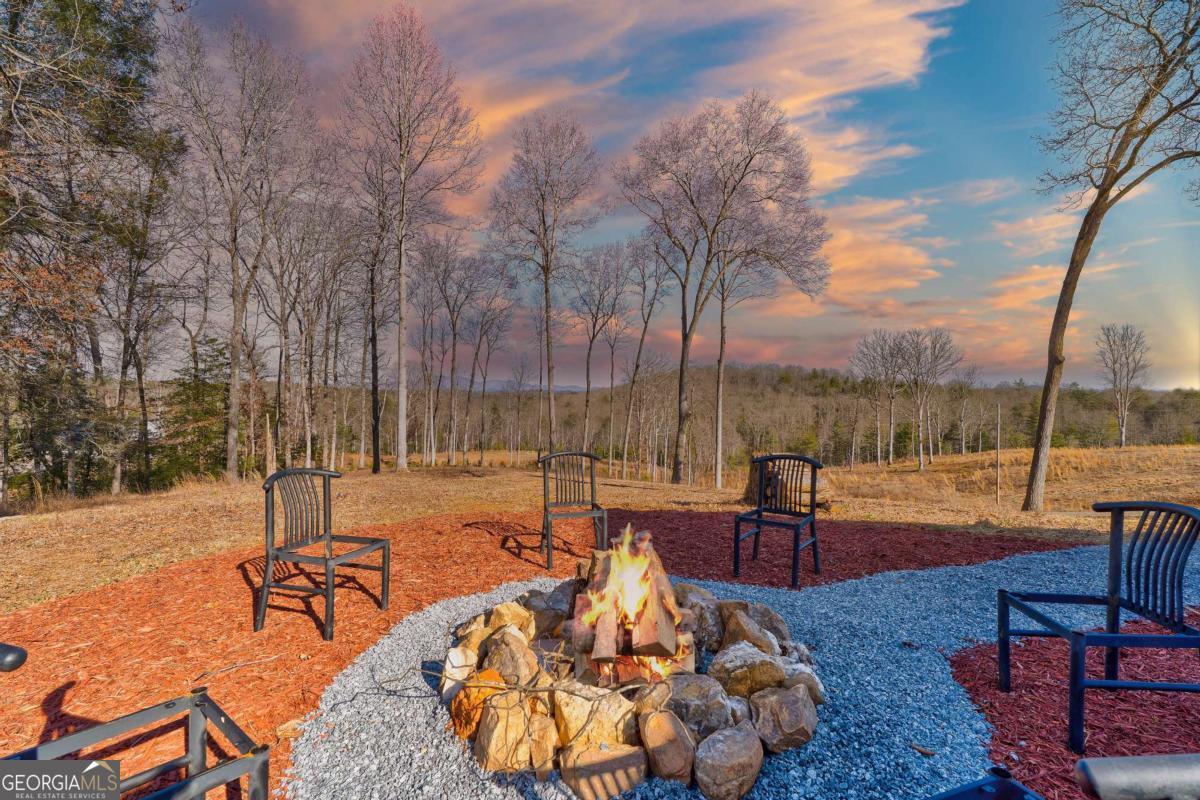 187 Briar Wds Lane, Unit C6 Blue Ridge, GA 30513 - Photo 6 of 63