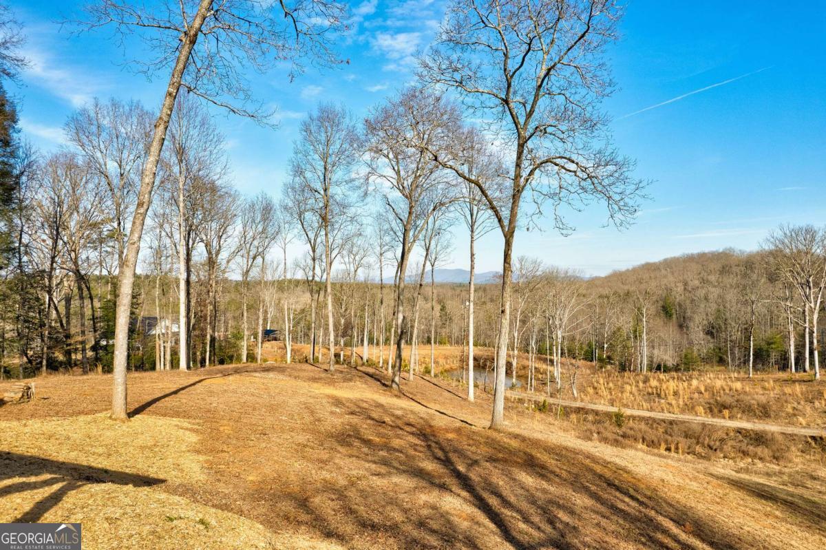 187 Briar Wds Lane, Unit C6 Blue Ridge, GA 30513 - Photo 7 of 63