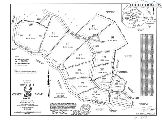 a view of a forest from a tree