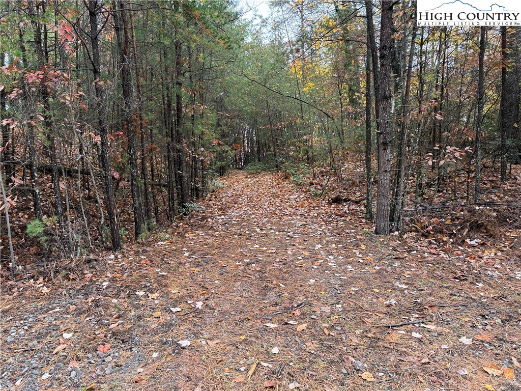 Lot 18 Wolf Pen Road Purlear, NC 28665 - Photo 3 of 37 a big yard with lots of green space and trees