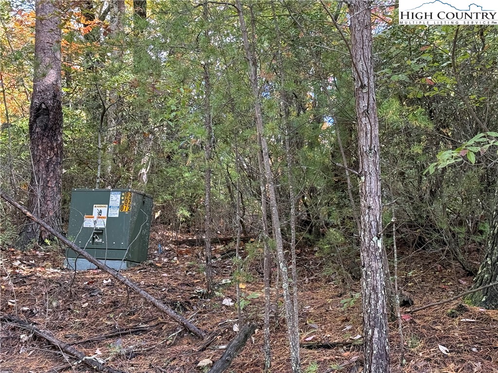 Lot 18 Wolf Pen Road Purlear, NC 28665 - Photo 4 of 37 a view of a forest filled with trees