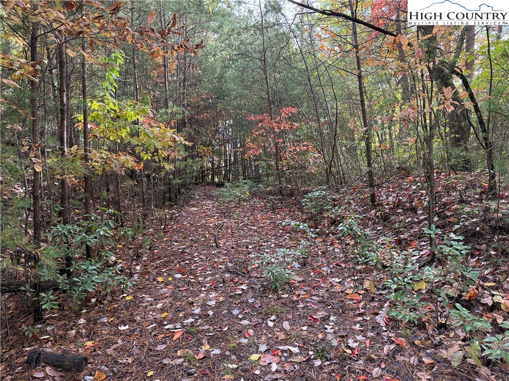 Lot 18 Wolf Pen Road Purlear, NC 28665 - Photo 5 of 37