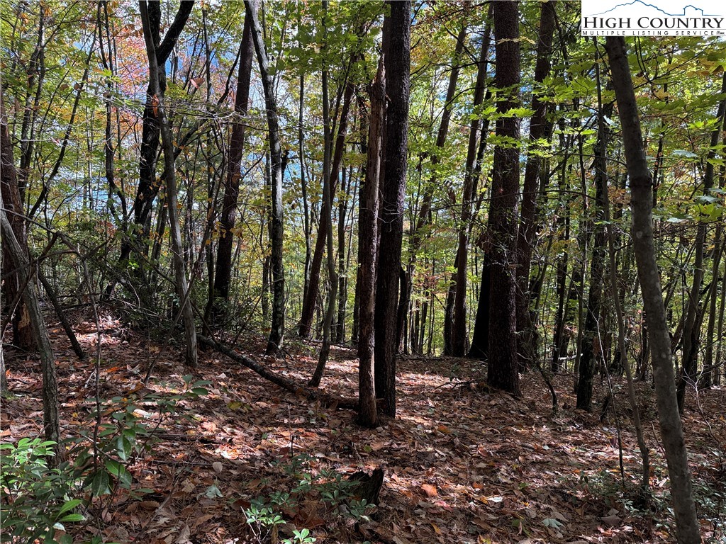 Lot 18 Wolf Pen Road Purlear, NC 28665 - Photo 6 of 37 a view of outdoor space with lots of trees