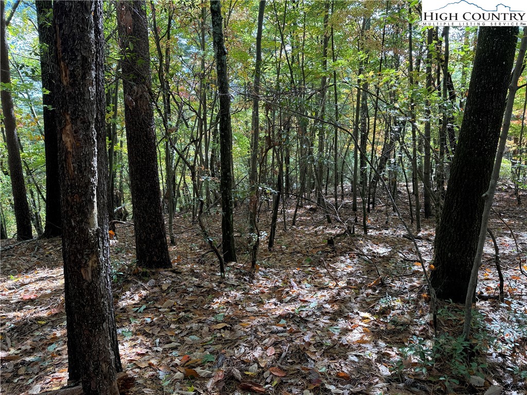 Lot 18 Wolf Pen Road Purlear, NC 28665 - Photo 7 of 37