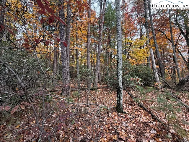 a backyard of a house with yard and outdoor seating