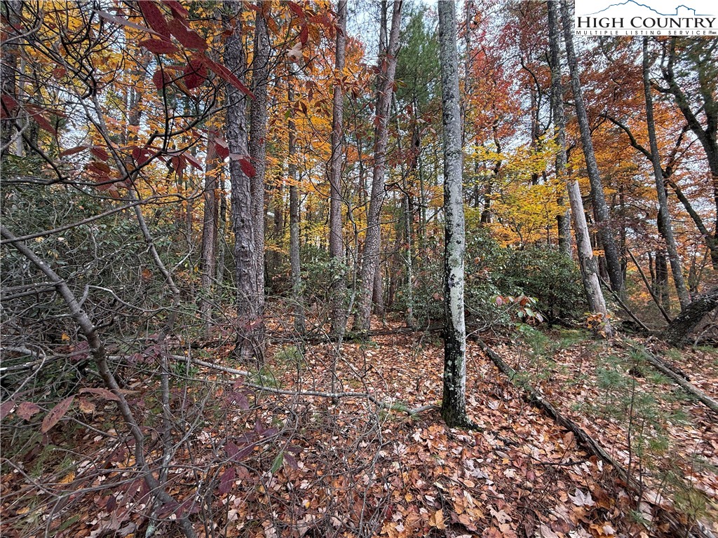 Lot 18 Wolf Pen Road Purlear, NC 28665 - Photo 8 of 37 a big yard with lots of green space