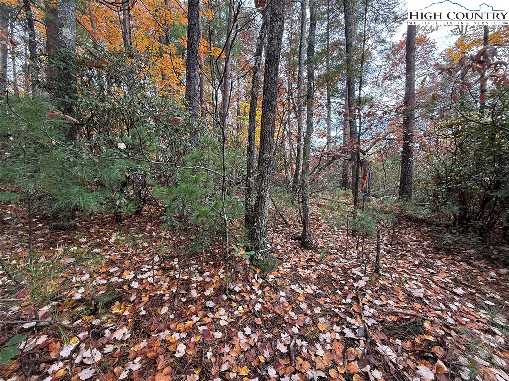 Lot 18 Wolf Pen Road Purlear, NC 28665 - Photo 9 of 37