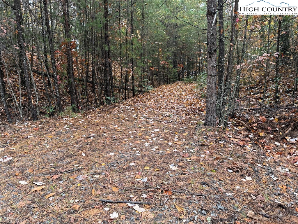 Lot 18 Wolf Pen Road Purlear, NC 28665 - Photo 10 of 37 a view of a yard with trees