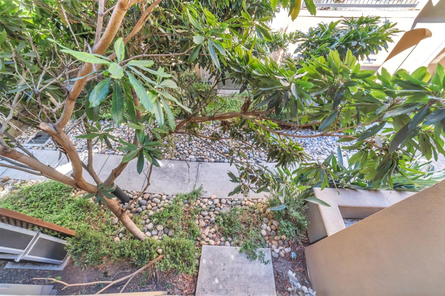 576 Almaden Walk Loop San Jose, CA 95125 - Photo 33 of 34 a view of a house with a plant