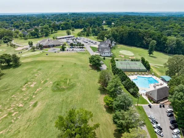 a view of a yard with plants