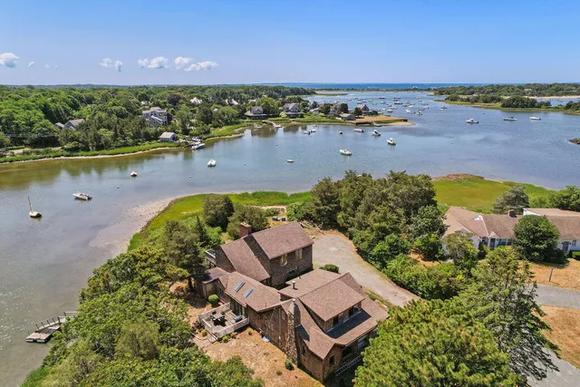 an aerial view of ocean and trees