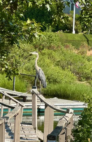 $2,695,000 | 102 Nashawena Street, West Falmouth, MA 02540