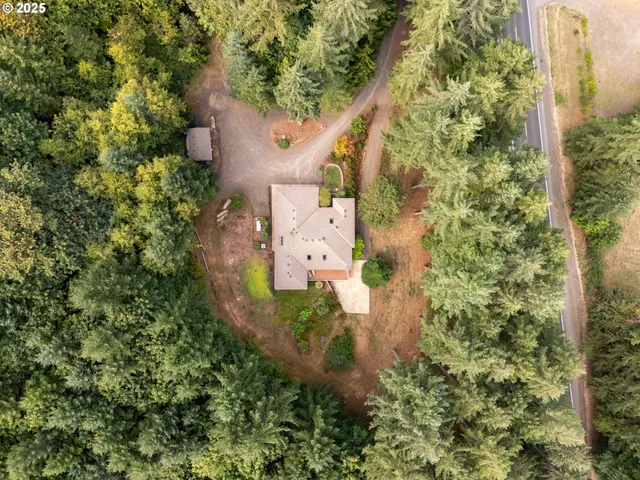 a view of a forest with a forest