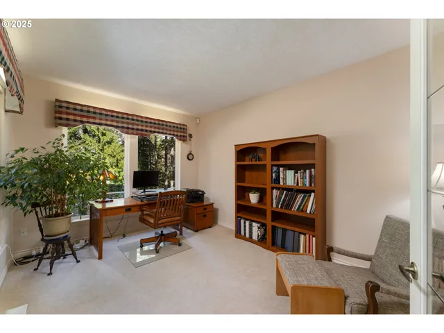 a view of a workspace with furniture and a potted plant