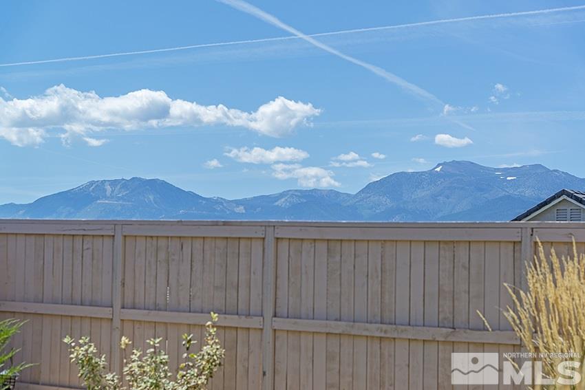 10171 Quintana Drive Reno, NV 89521 - Photo 4 of 25 a view of a small yard