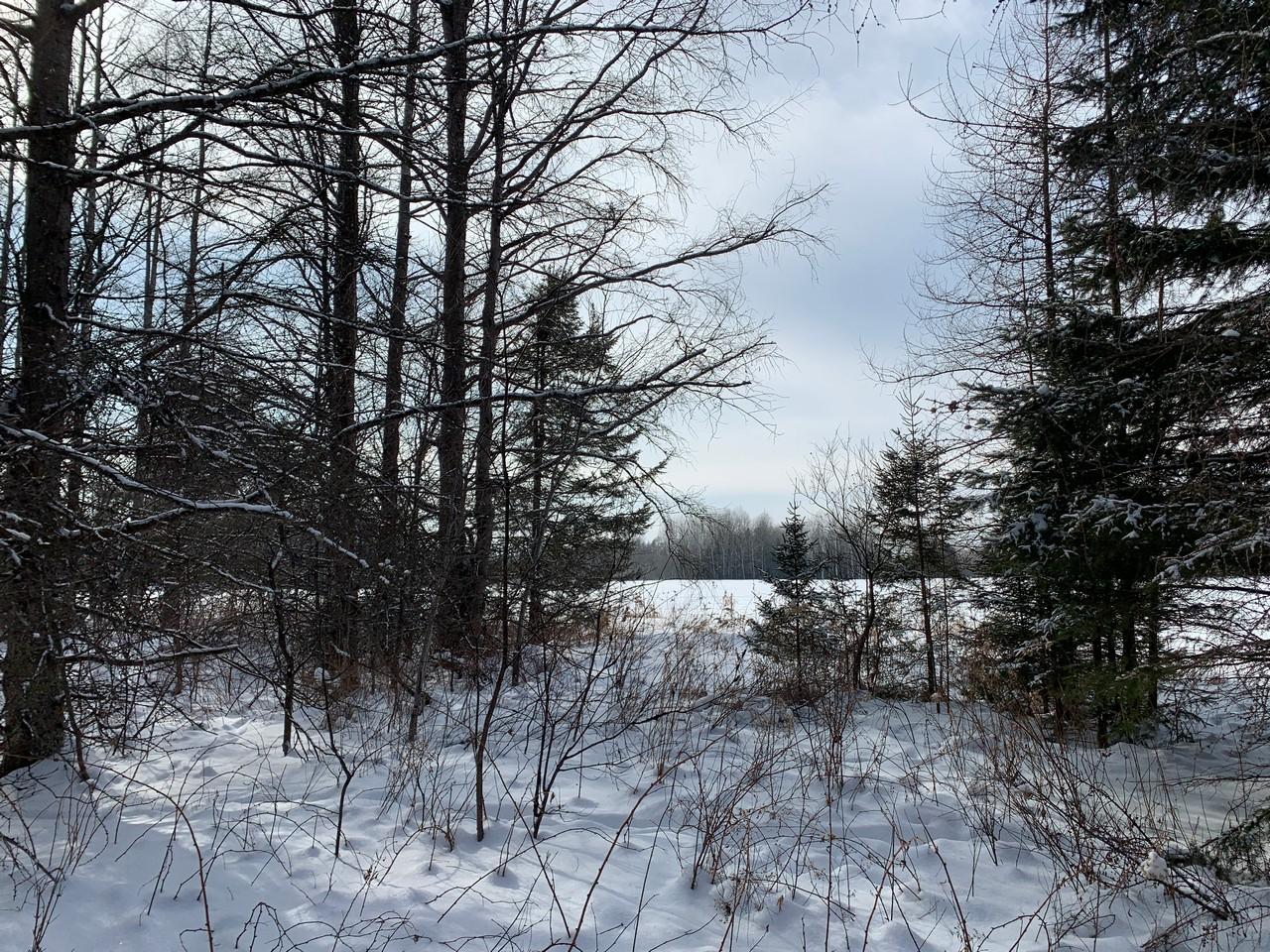 On Kurtz Road Rhinelander, WI 54501 - Photo 9 of 10 Gallery Image 9