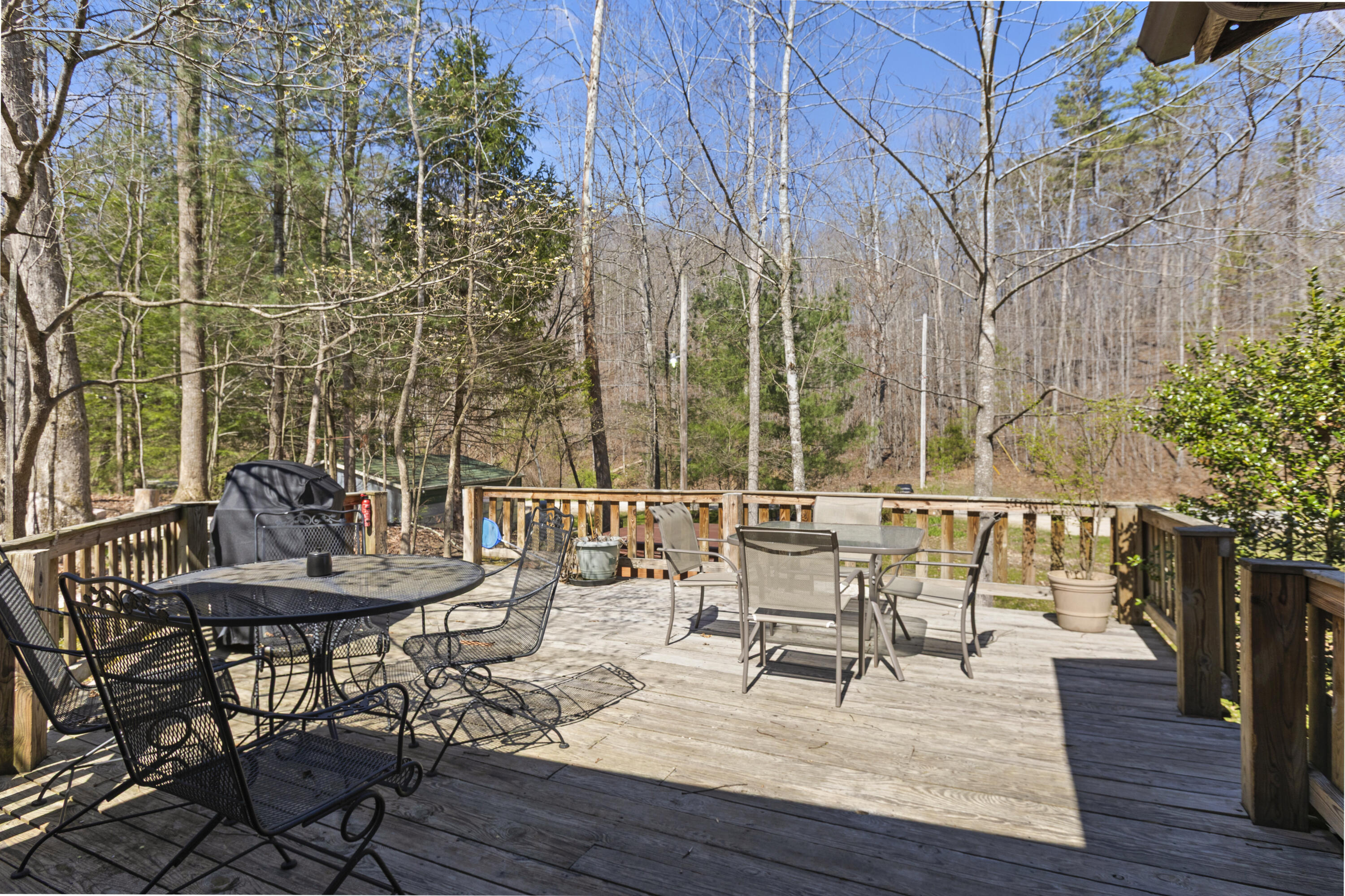 155 Chaneyville Road Stanton, KY 40380 - Photo 10 of 46 I82A6081