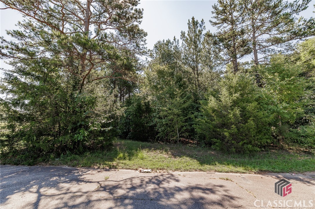 0 Webbs Creek Road Commerce, GA 30529 - Photo 8 of 9