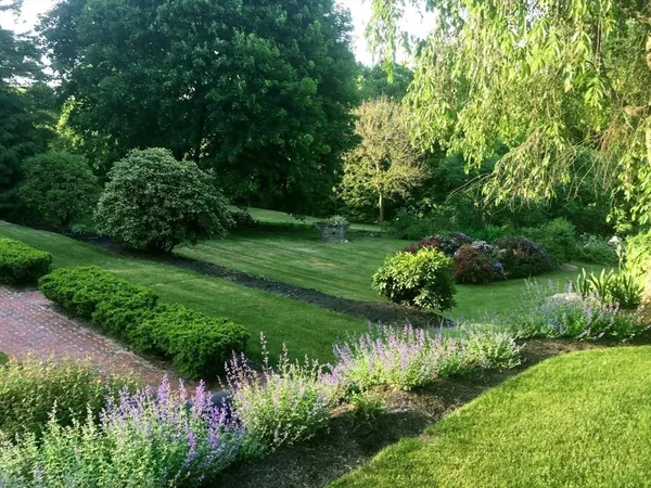 a view of a garden with a flower garden