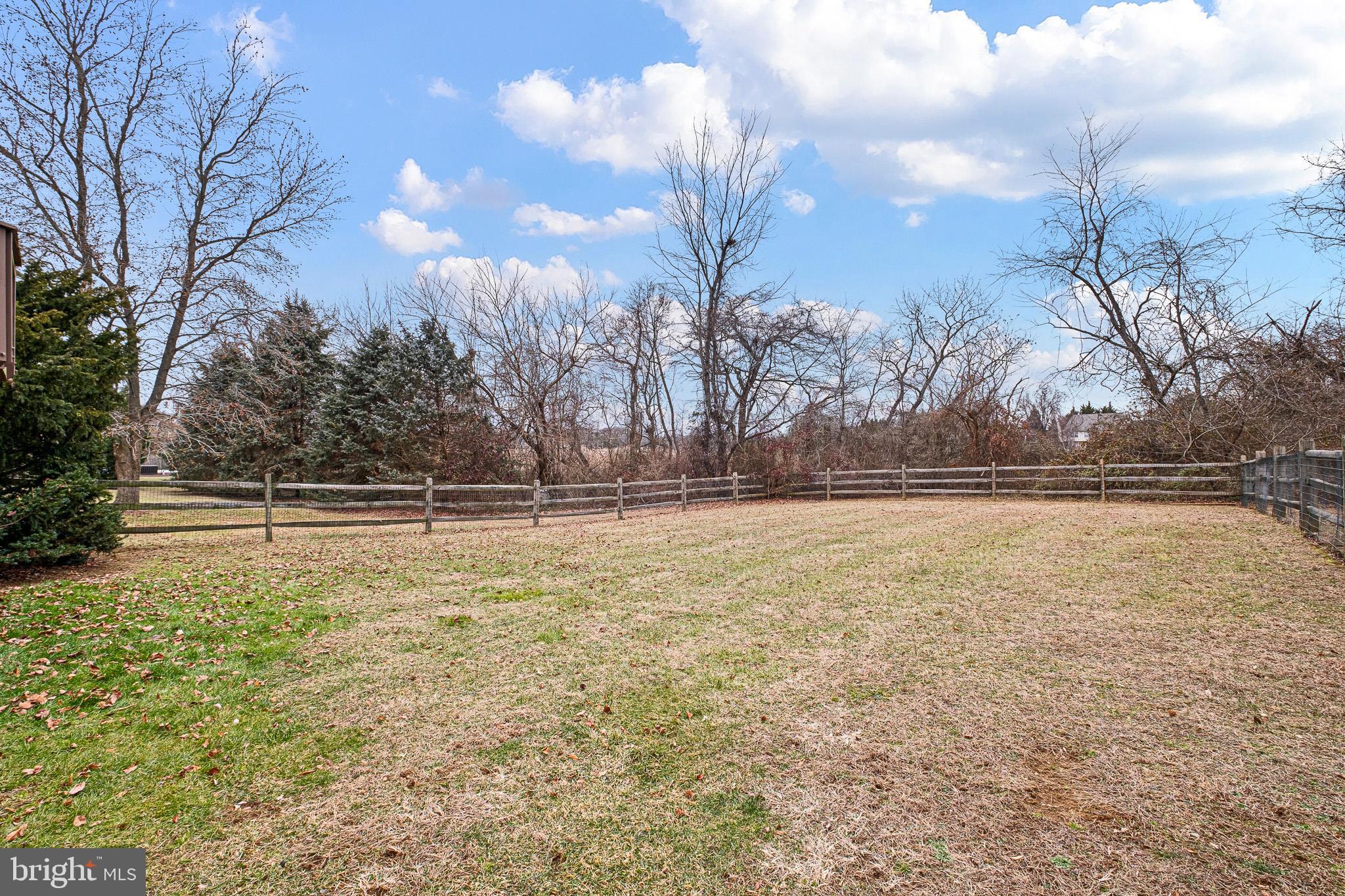 224 West Old Squaw Road Middletown, DE 19709 - Photo 13 of 43 a view of a yard