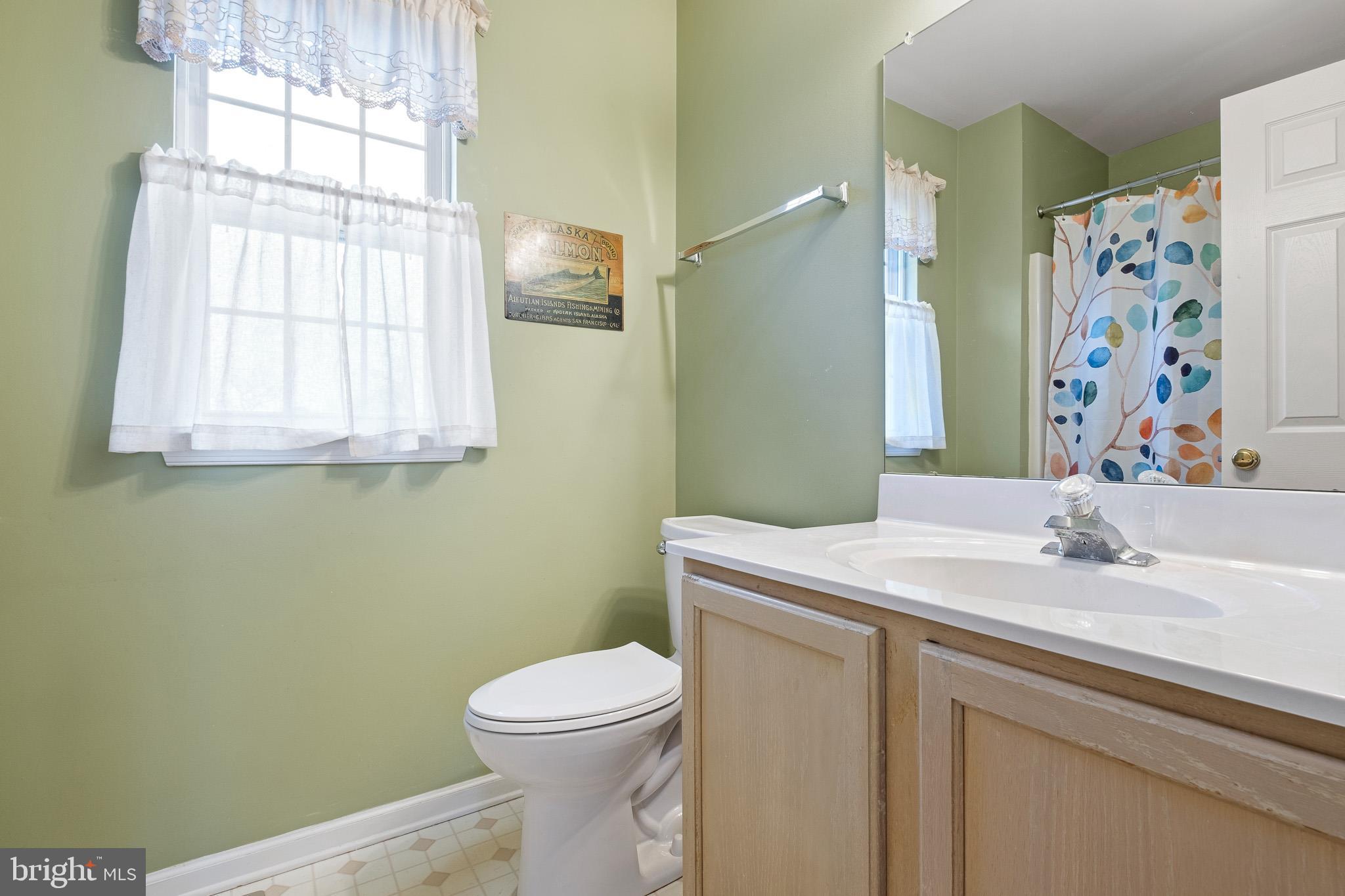 224 West Old Squaw Road Middletown, DE 19709 - Photo 36 of 43 a bathroom with a sink toilet and window