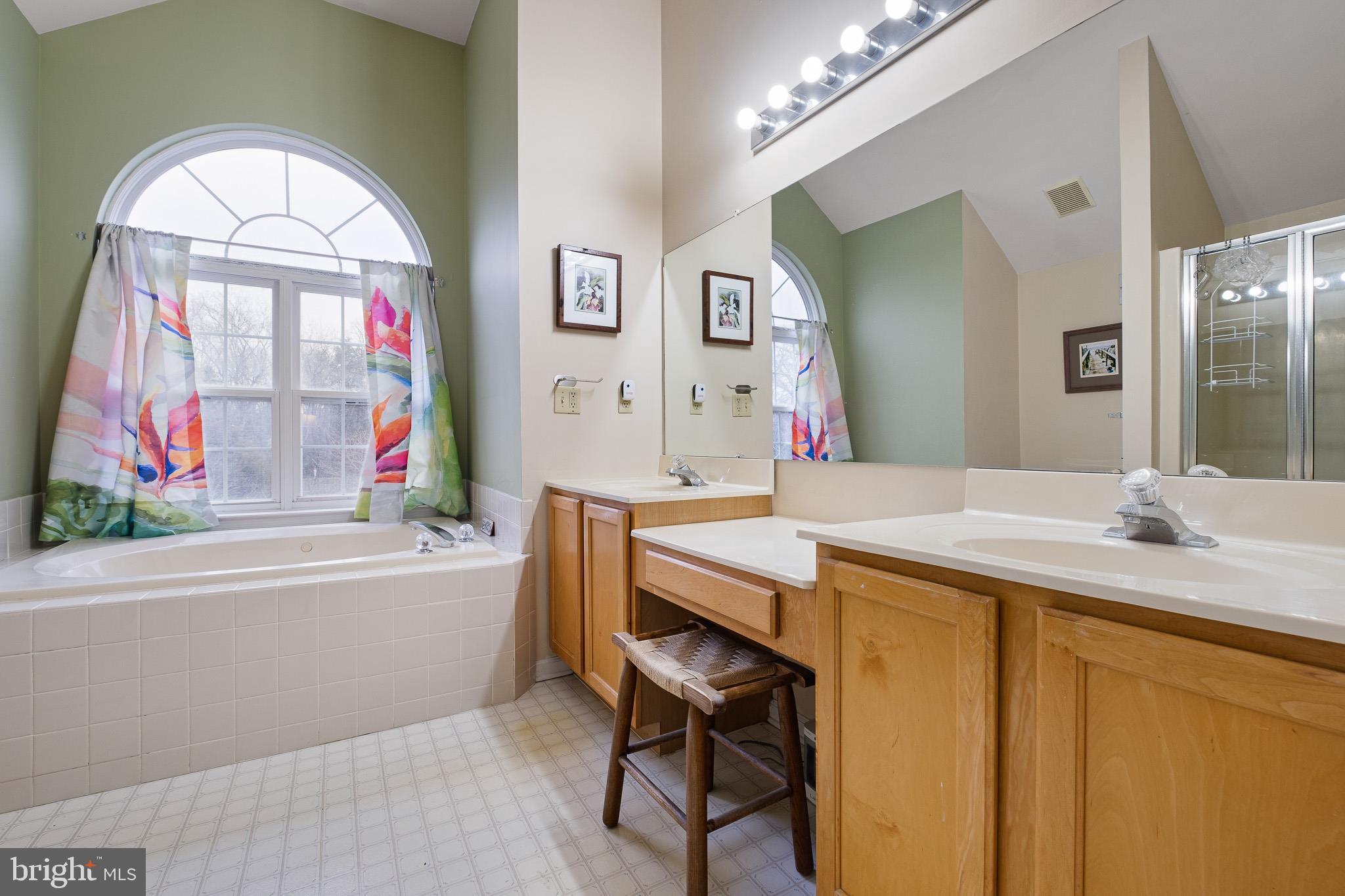 224 West Old Squaw Road Middletown, DE 19709 - Photo 37 of 43 a bathroom with a granite countertop sink a large mirror a vanity and a bathtub