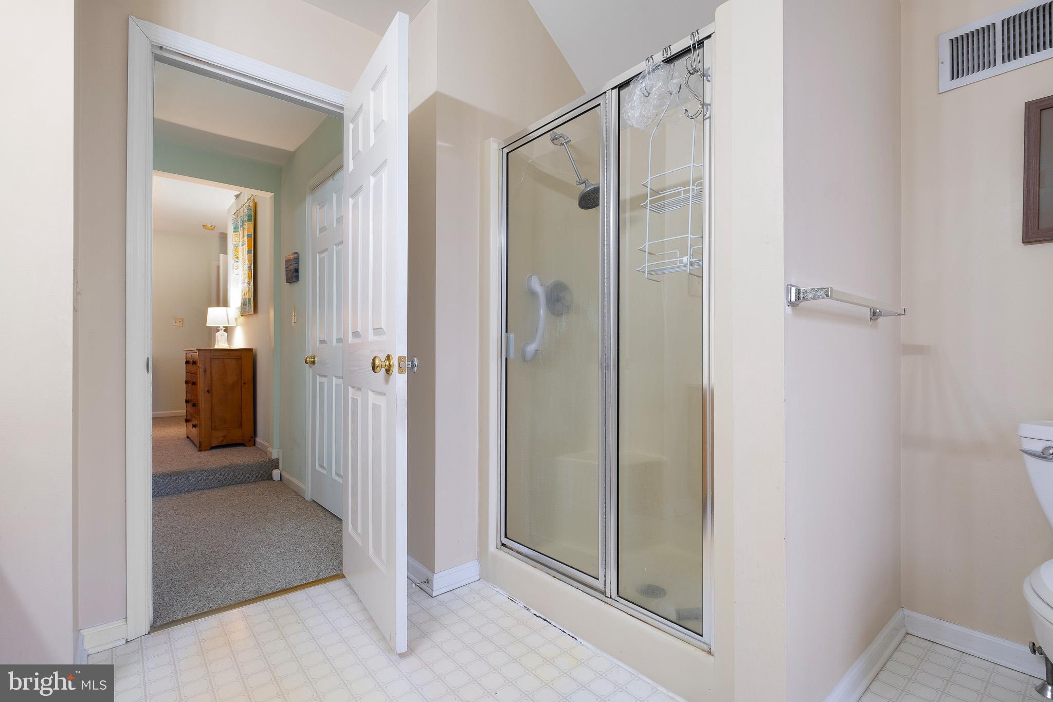 224 West Old Squaw Road Middletown, DE 19709 - Photo 38 of 43 a bathroom with a shower and a glass door