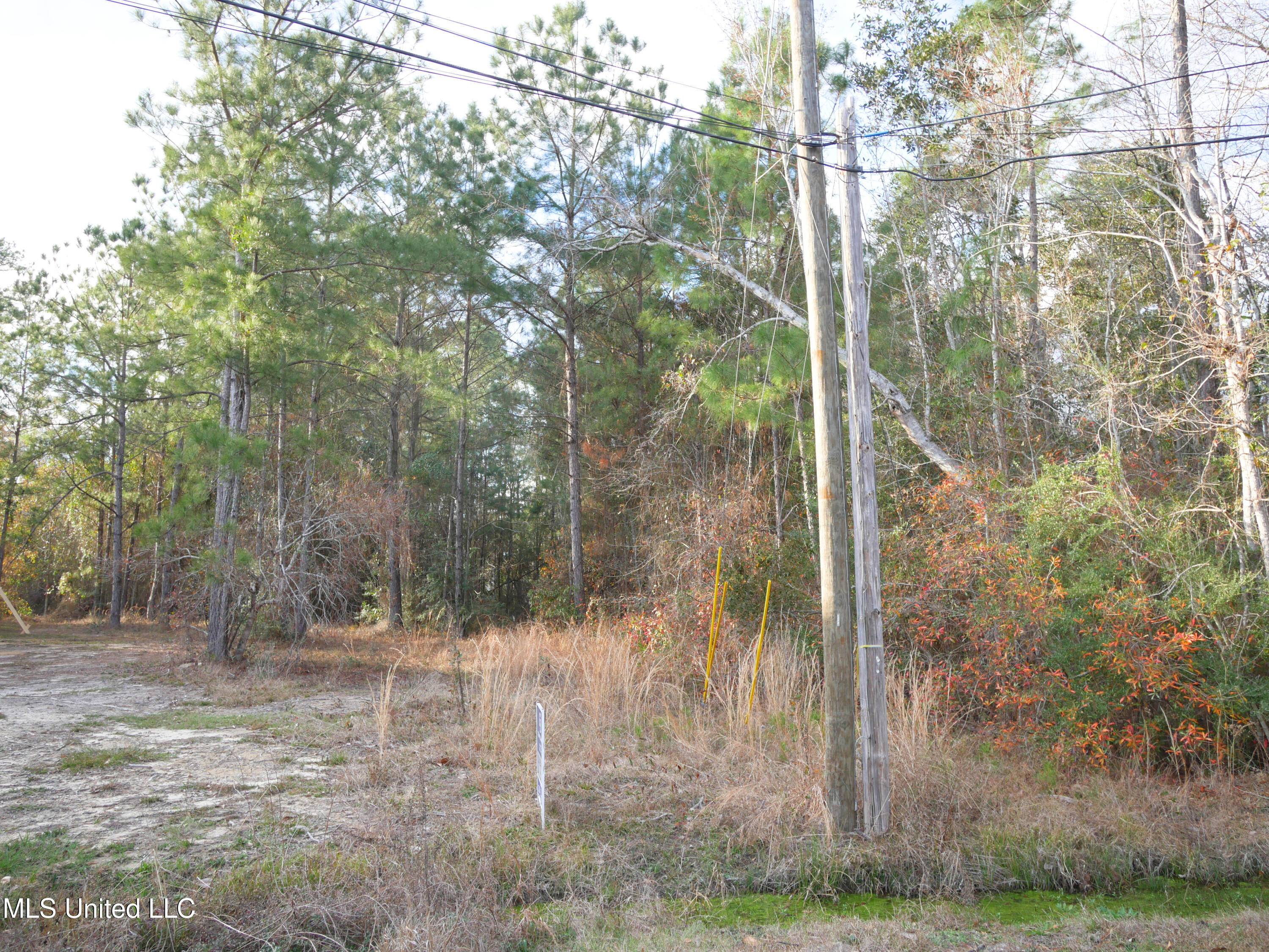 Choctaw Place Kiln, MS 39556 - Photo 5 of 6 P1110607 - Edited
