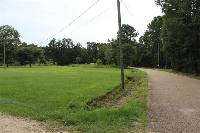 35075 Starnes Road Independence, LA 70443 - Photo 14 of 17