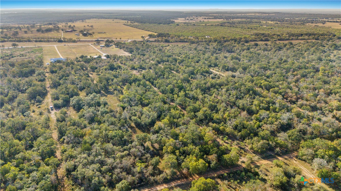 262 Gander Slough Road Kingsbury, TX 78638 - Photo 32 of 32