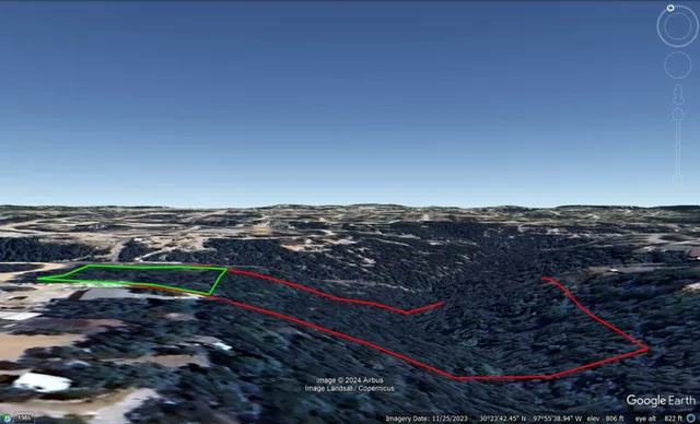 a city view with tall trees